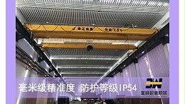 欧式起重机定制服务推荐宝威起重