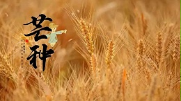 今日芒种，愿所种皆有所得[宝威起重]