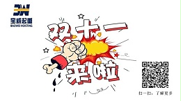 双十一狂欢节，你剁手了吗[宝威起重]