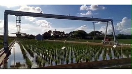 运行中的田间作物表型舱龙门吊