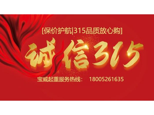 保价护航—315品质放心购[宝威起重]